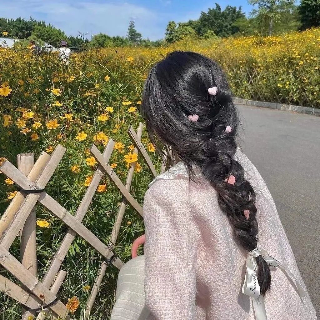 圣兽